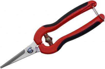 Lemmet Teel - Kwekers schaar